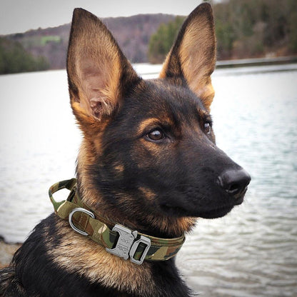 Coleira Tática Militar Para Cães Ultra Reforçada