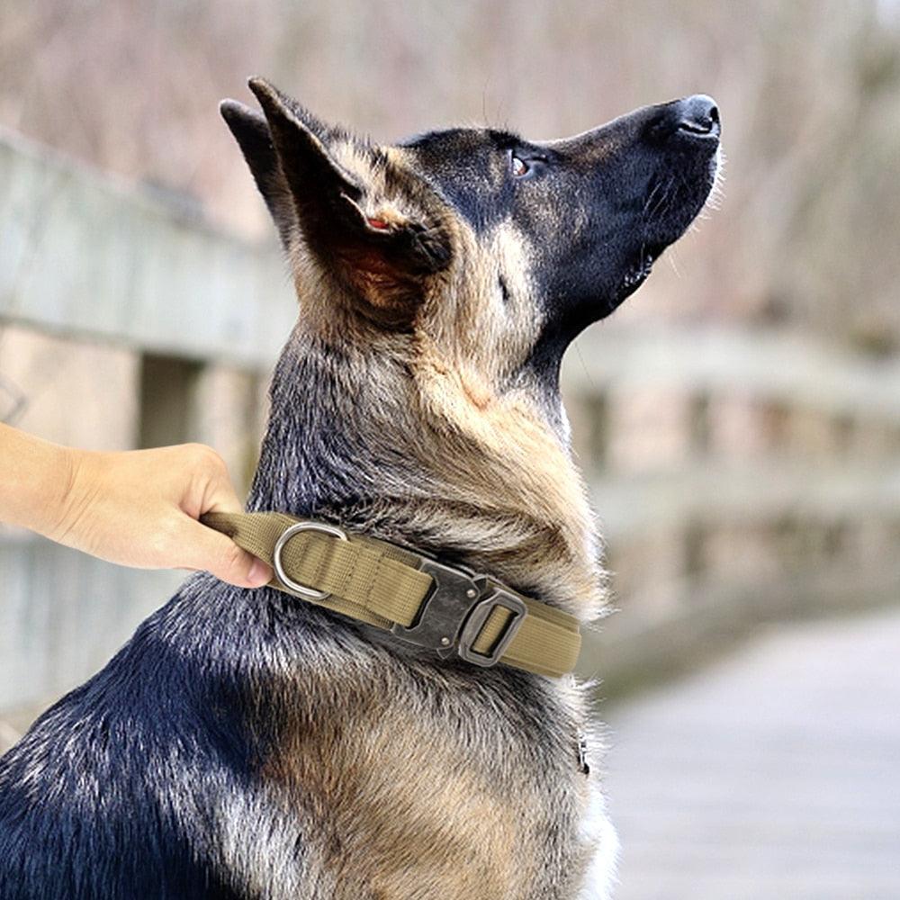 Coleira Tática Militar Para Cães Ultra Reforçada