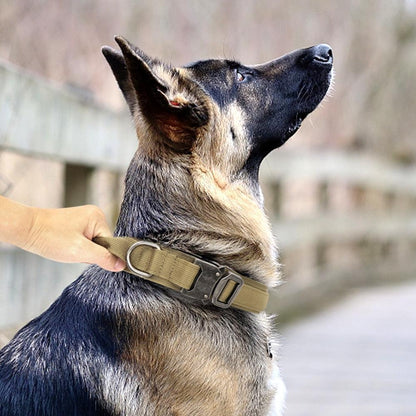 Coleira Tática Militar Para Cães Ultra Reforçada