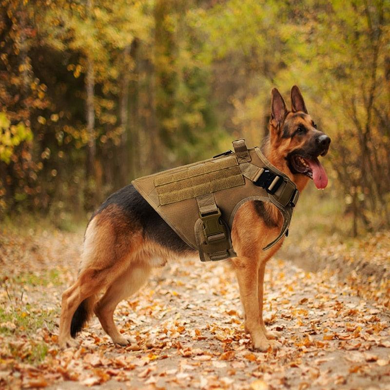 Colete Tático Americano para Cães