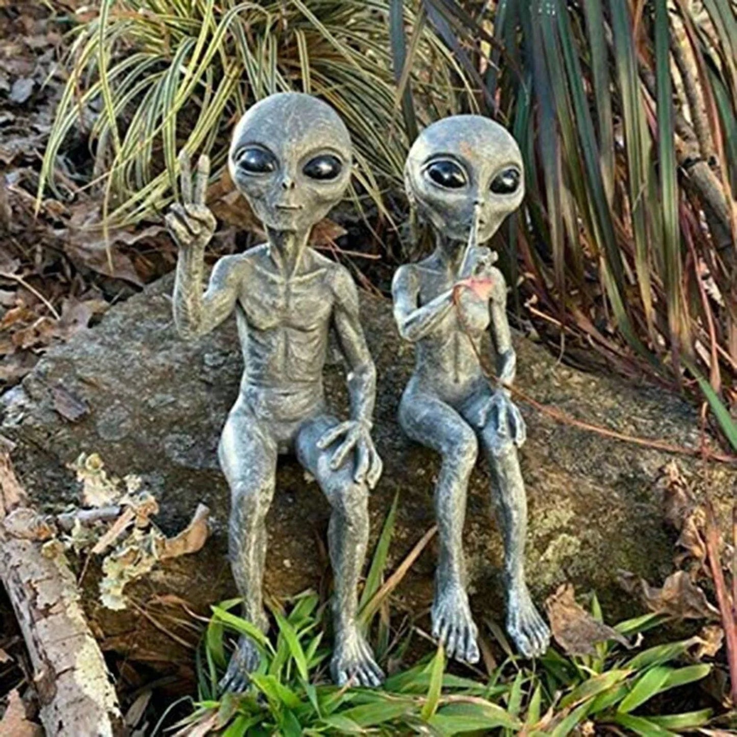 Irmãos Arcturianos / A Dupla de Alienígenas pronta para decorar sua Casa