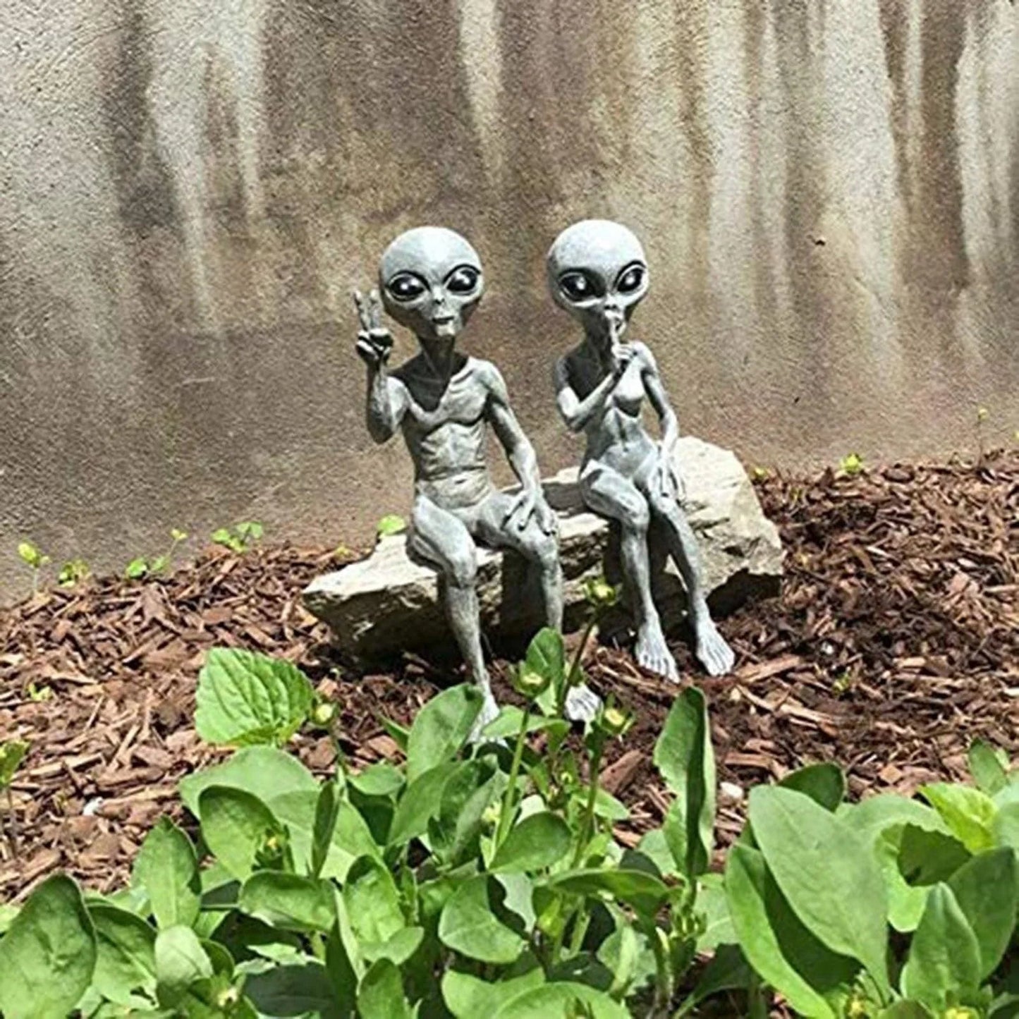 Irmãos Arcturianos / A Dupla de Alienígenas pronta para decorar sua Casa